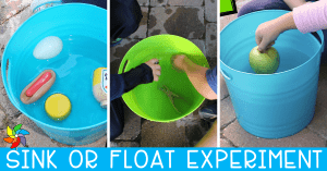 sink or float experiment