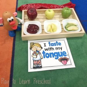 Sense of Taste Apple Taste Test Circle Time Activity for Preschoolers