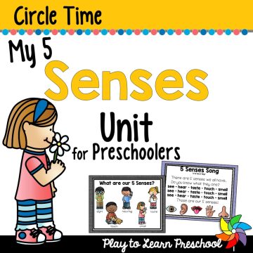 activities for preschoolers 5 senses