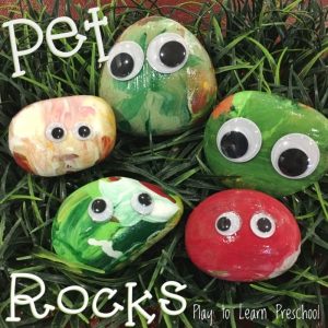 Pet Rock Process Art Project for preschoolers