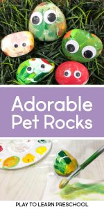 Pet Rocks Process Art Project for Preschoolers