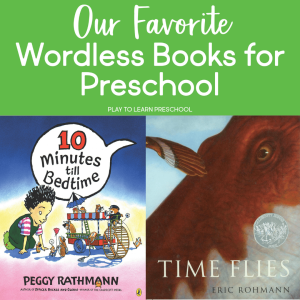 Wordless Picture Books for Preschoolers