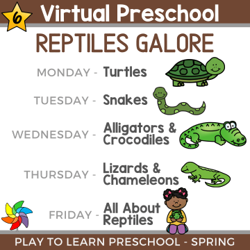 VP Spring 2021 - Reptiles Galore