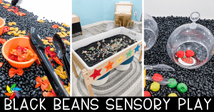 Black Beans Sensory HRZ