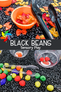 Black Beans Sensory PIN
