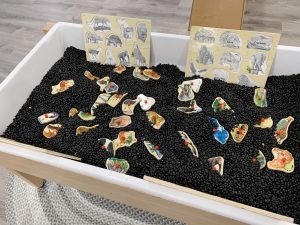 Black beans sensory and puzzles