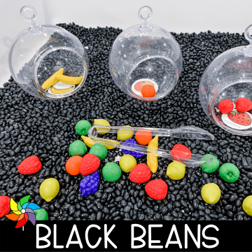 Black Beans Sensory Table SQ
