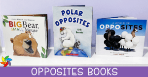 Opposites Books for Preschool