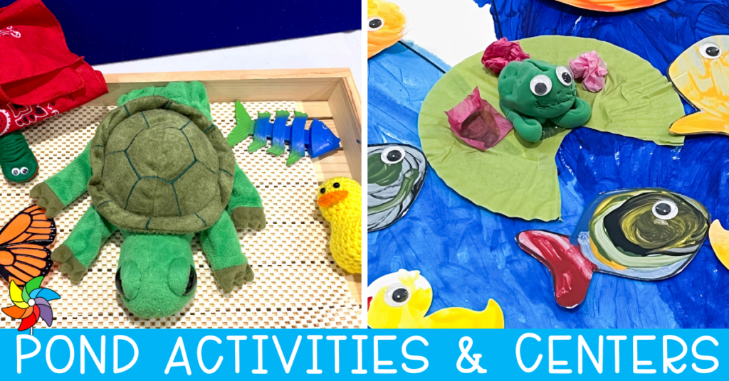 Pond Activities and Centers