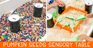 pumpkin seeds sensory table