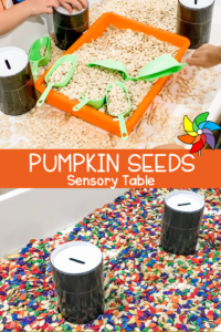 pumpkin seeds sensory table