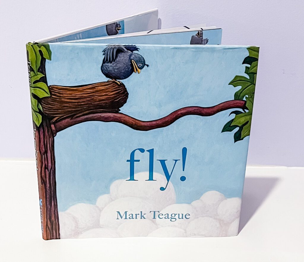 Fly! Book