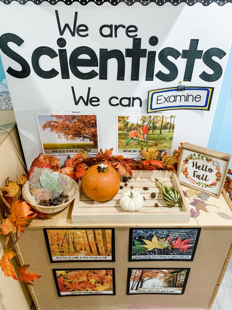 Fall Preschool Science Activities
