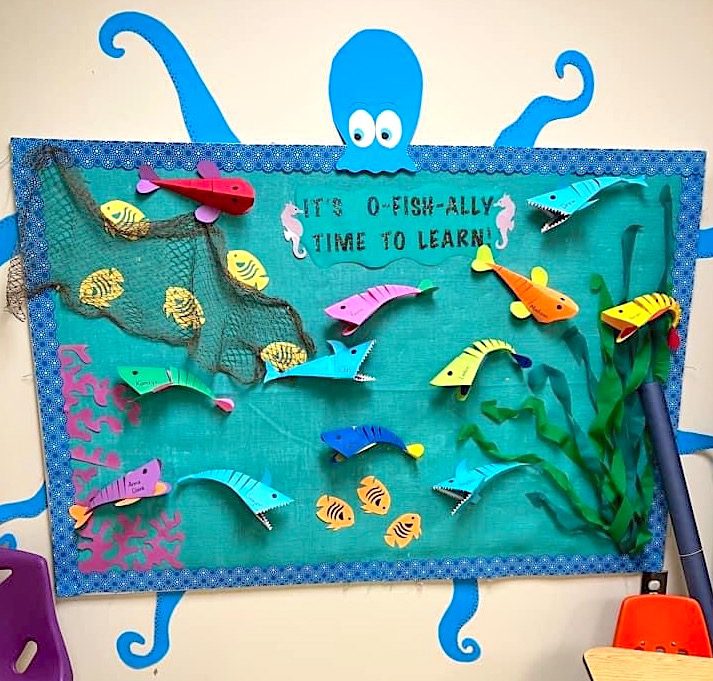 octopus bulletin board
