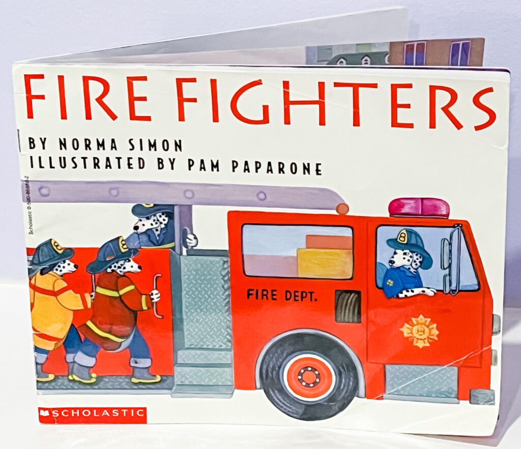 Fire Fighters Book cover