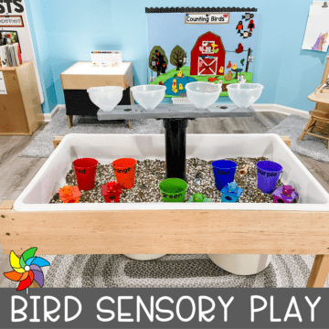 Bird Themed sensory bins