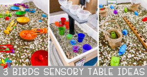 Bird themed sensory bins