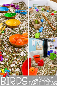 bird themed sensory bins