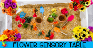 Flower Sensory Table