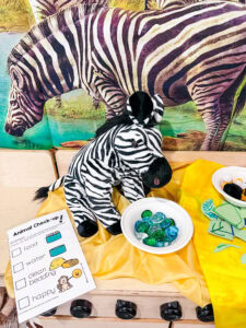 Zebra stuffed animals in a safari park dramatic play center for preschoolers.