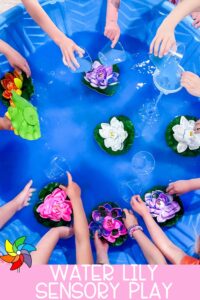 Water Lily Sensory Play for Monet Unit