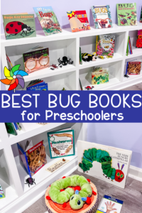 Pinterest image with the title “Best Bug Books for Preschoolers” layered over a preschool classroom bookshelf filled with bug-themed books.