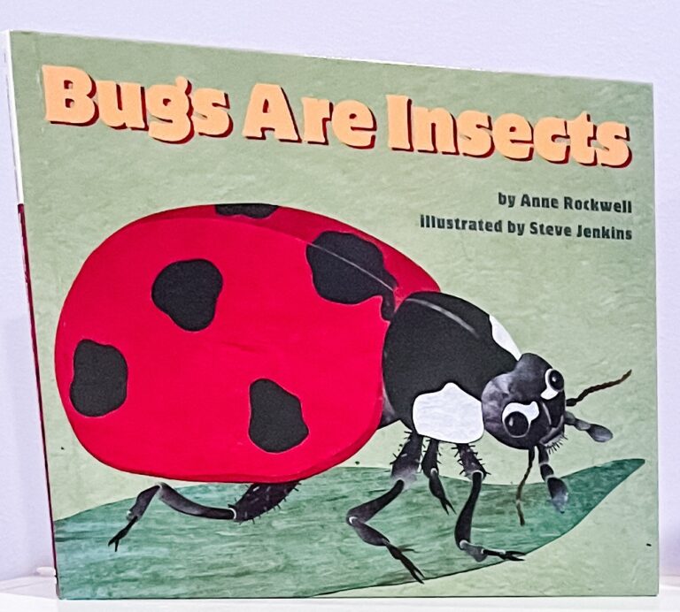 Bookbug Insect Best Bug Books for Preschoolers - Play to Learn Preschool