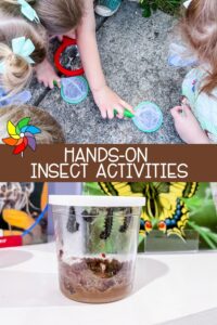 Discover why insects fascinate preschoolers by engaging in hands-on insect activities for preschool that encourage scientific learning.