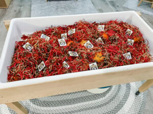A sensory table filled with red and brown shredded paper, paper leaves, and acorn letter cards scattered throughout