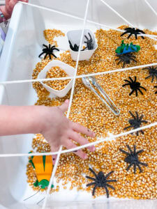 sensory materials for a spider theme or halloween