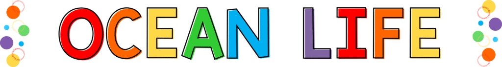 Ocean Theme virtual preschool header