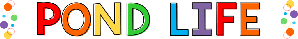 Pond life preschool pond theme header