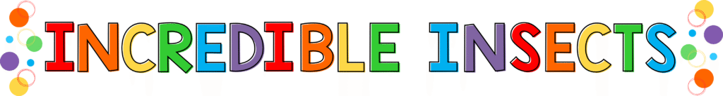 preschool insects theme