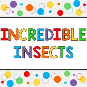 preschool insects theme