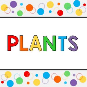 preschool plants square image