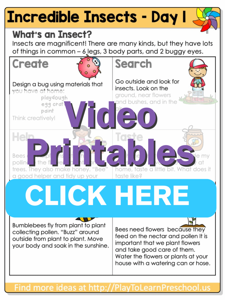 preschool insects theme preschool insect theme printables day 1