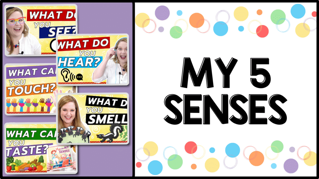 5 Five senses free preschool video lessons