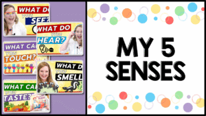 5 Five senses free preschool video lessons