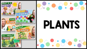 Plants free preschool video lessons