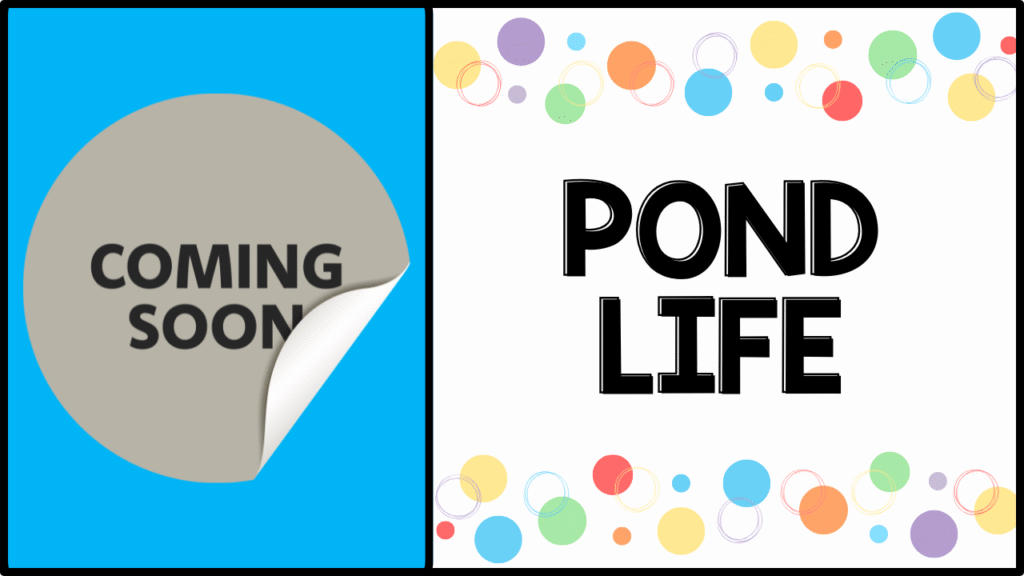free virtual preschool pond life