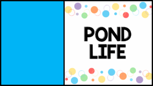 Pond Life preschool video lessons