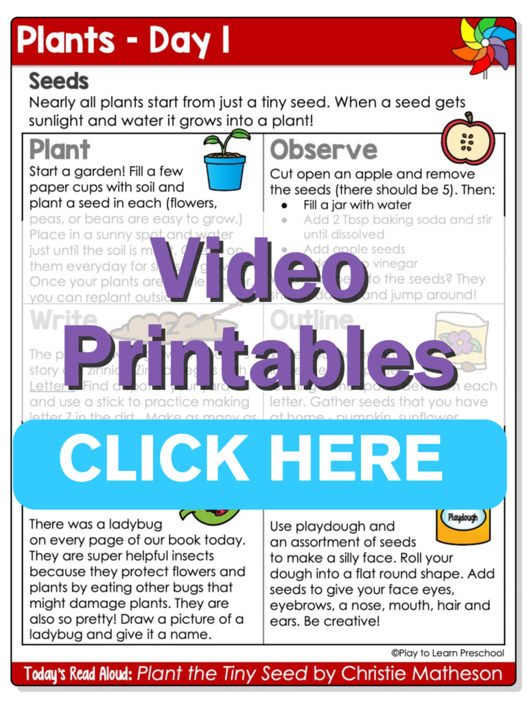 preschool plants printables circle time day 1