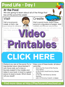 preschool pond theme life printables day 1