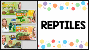 Reptile free preschool video lessons