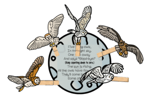 preschool owl activities