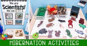 hibernation activities for preschool science centers