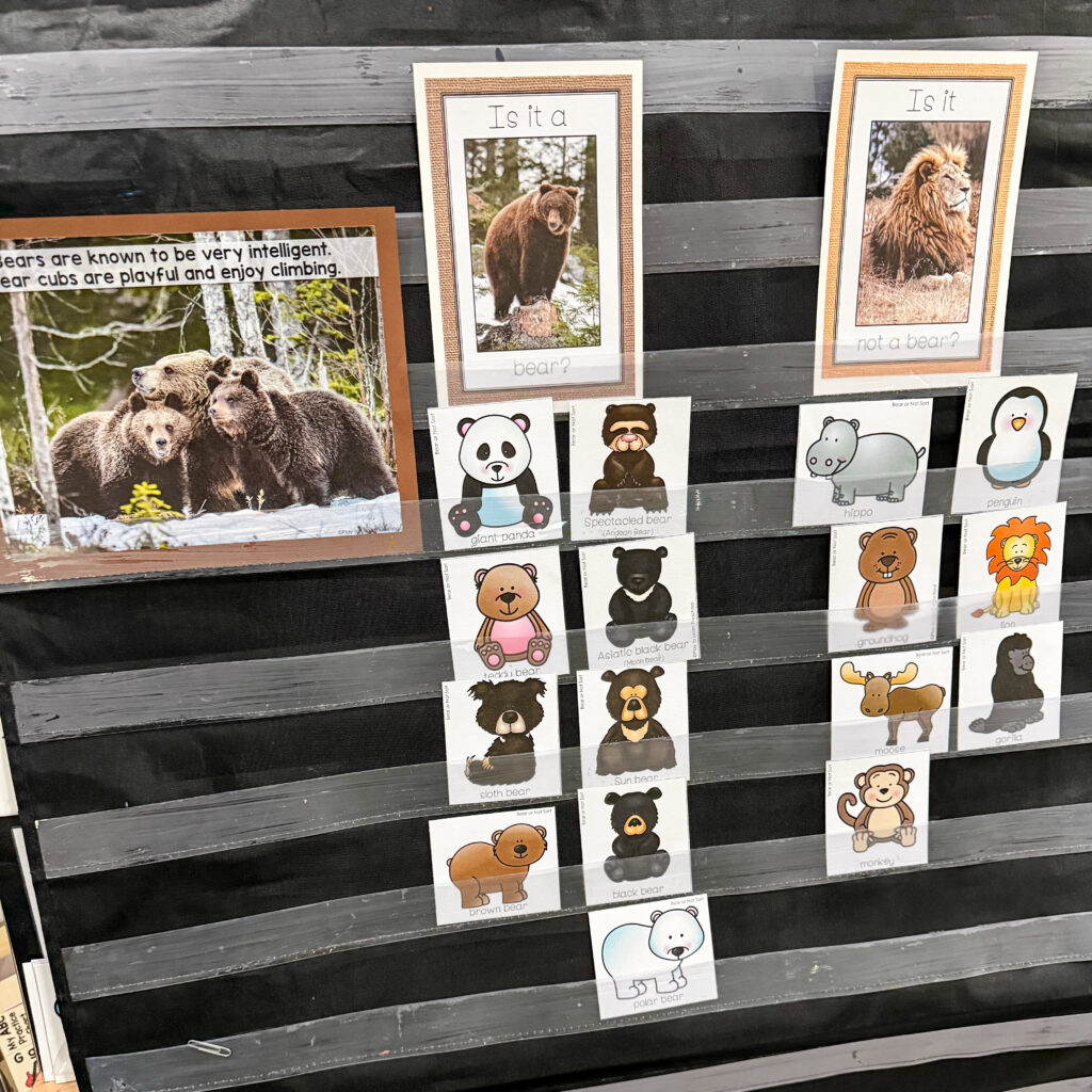 Preschool Bear Activities - Play to Learn Preschool