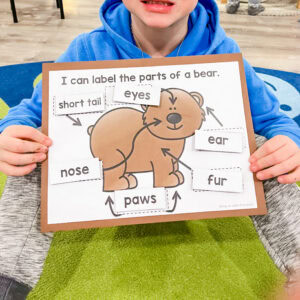 preschool bear activities