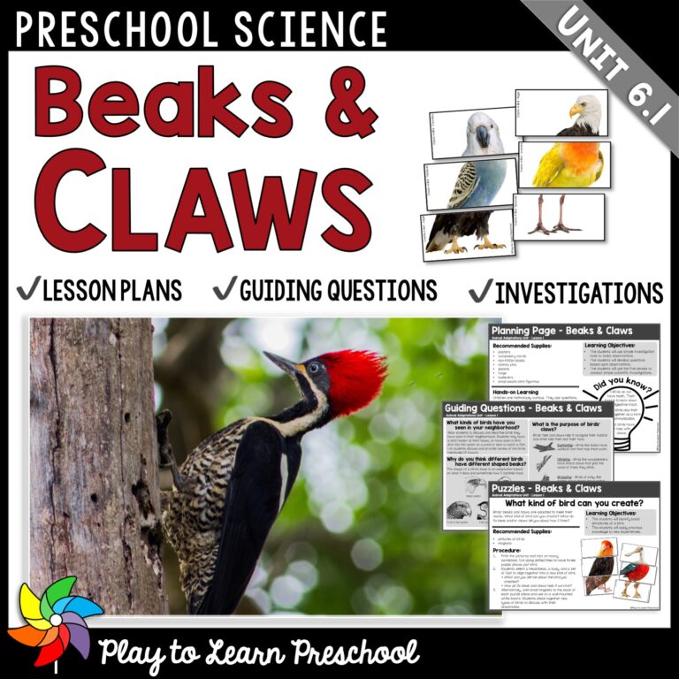 Beaks & Claws Preschool Science Center - Play to Learn Preschool