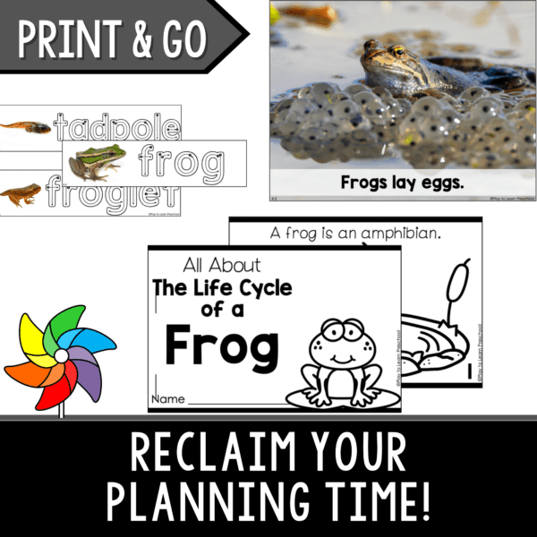 2 - Play to Learn Preschool